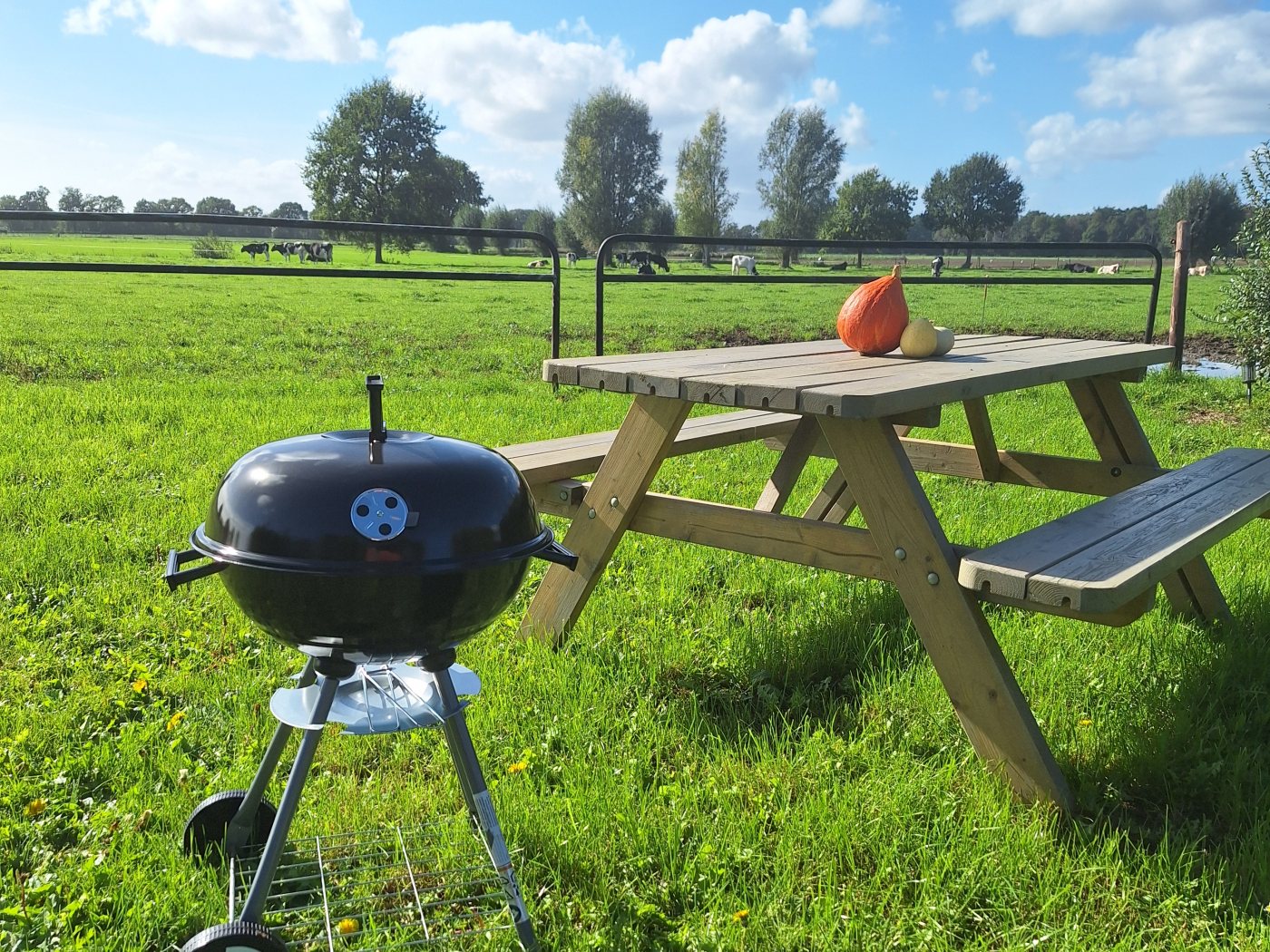 Barbecue op het terras