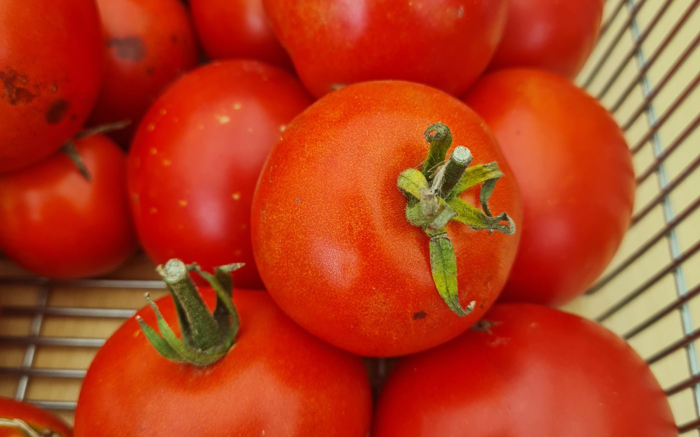 Groente uit de moestuin
